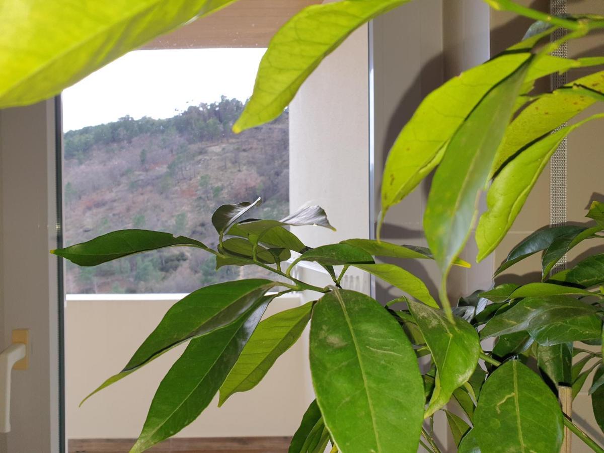 코빌라 Altavista Penthouse T2 아파트 외부 사진
